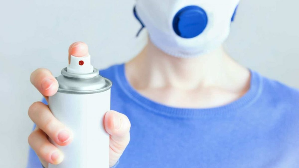 Are Paint Fumes Bad for Dogs? (FAQs Answered) StoryNorth