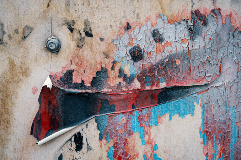 Does Paint Kill Mold? 