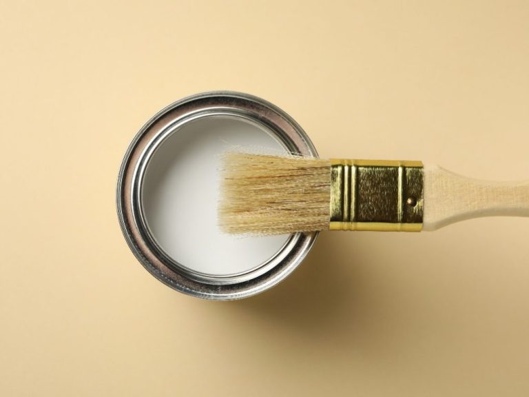Is Eggshell Paint Washable: Everything You Need to Know