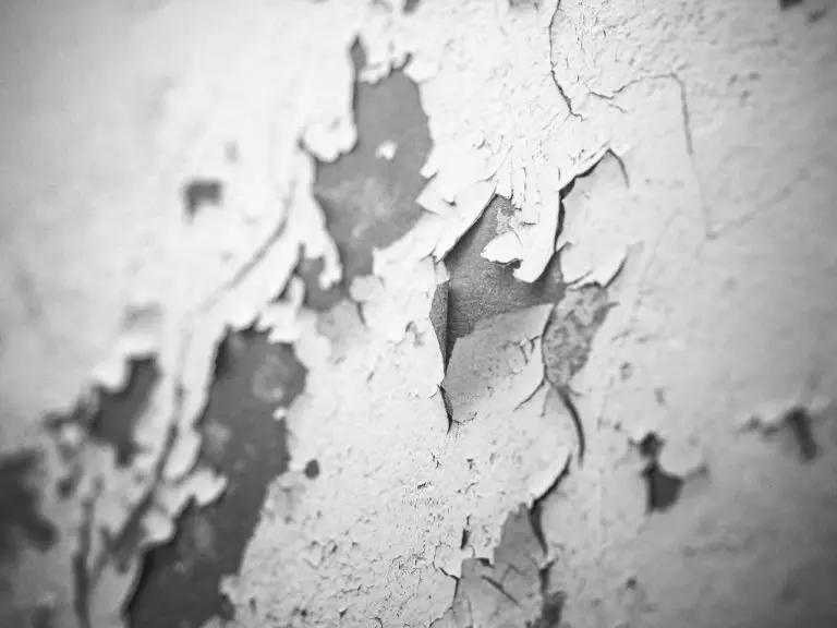 Why Paint Peels Off Walls in Sheets: Understanding the Causes