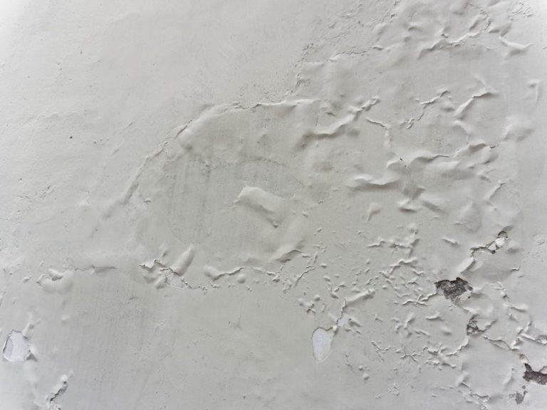 Why Paint Peels Off Walls in Sheets Understanding the Causes StoryNorth