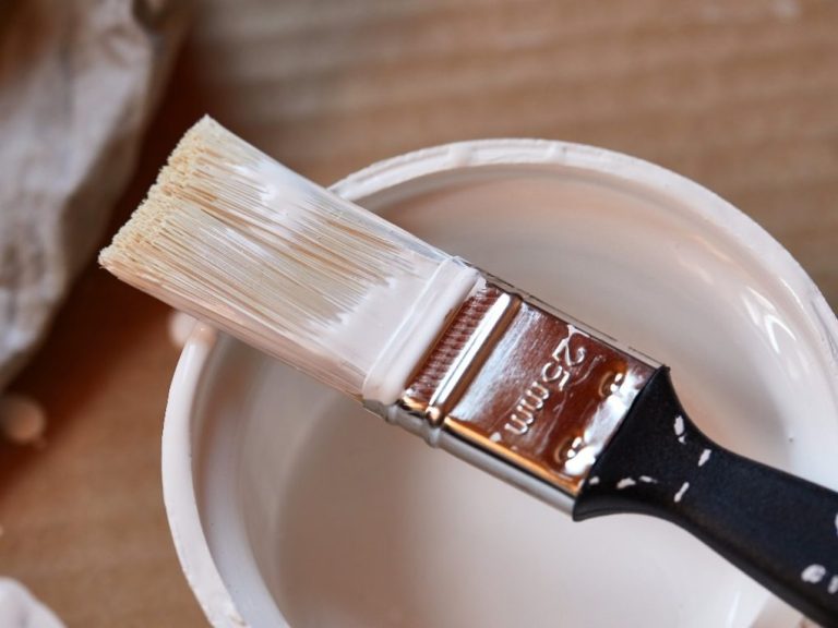 Does White Eggshell Paint Go Yellow: Exploring the Possibility of Discoloration Over Time